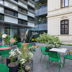 Fotografie Butter - 8