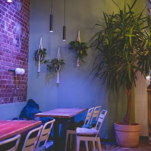 Fotografie Twisted Olives - 1