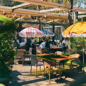 Fotografie Stadio Park - 0