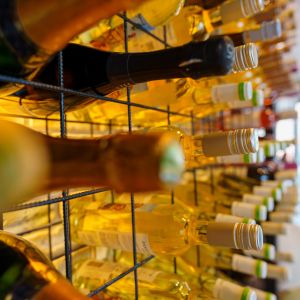 Fotografie Molf - Deli & Vinutz - 4