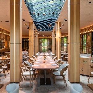 Fotografie BOSCO - 0