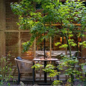 Fotografie BOSCO - 1