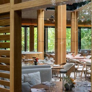 Fotografie BOSCO - 2