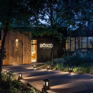 Fotografie BOSCO - 3