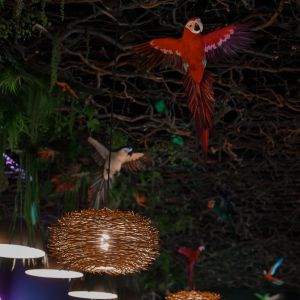 Fotografie Exotique Lounge - 3