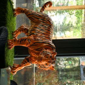 Fotografie Exotique Lounge - 4