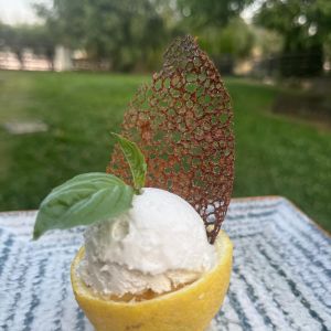 Fotografie Akasha Retreat - 6