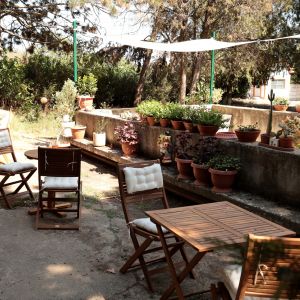 Fotografie Punct Gastronomic Local Sibioara - 4