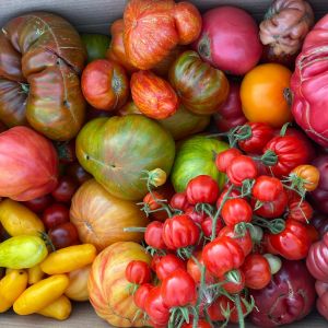 Fotografie Punct Gastronomic Local Sibioara - 7