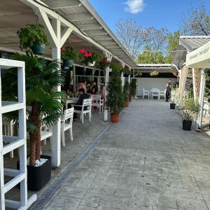 Fotografie GradinaRokaBBQ - 2