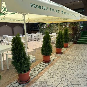 Fotografie La Buni Cati - 5