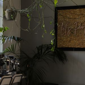 Fotografie Casa Paulownia - 4