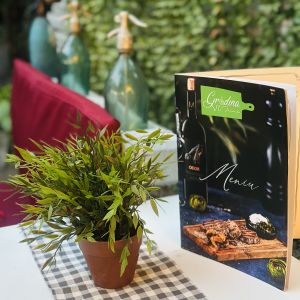 Fotografie Gradina 11 Iunie - 2