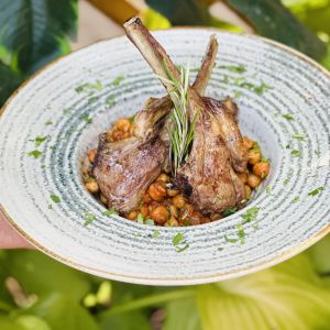 Fotografie Gradina 11 Iunie - 3