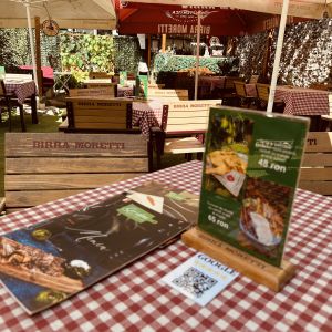 Fotografie Gradina 11 Iunie - 4