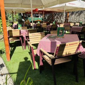 Fotografie Gradina 11 Iunie - 5