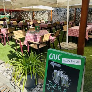 Fotografie Gradina 11 Iunie - 6