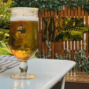 Fotografie Gradina 11 Iunie - 7