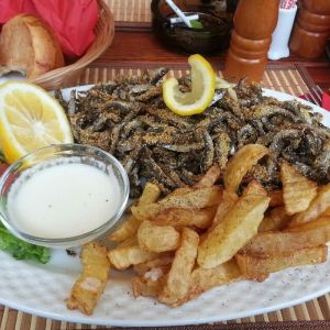 Fotografie Lascăr - 1