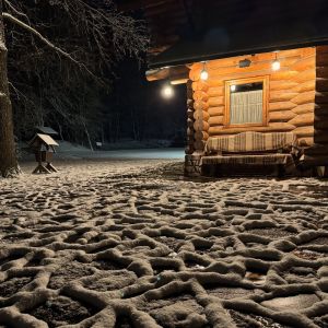 Fotografie Acasă în Bucovina - 2