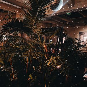 Fotografie FIX ME A DRINK - 3