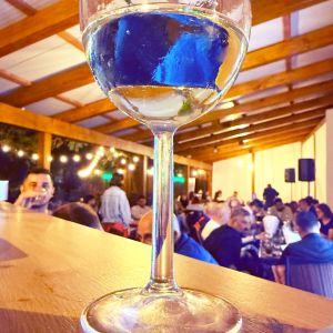 Fotografie WineYard - 4