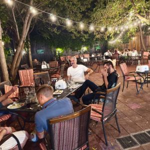 Fotografie WineYard - 0