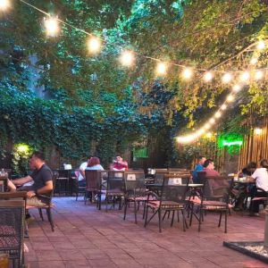 Fotografie WineYard - 1