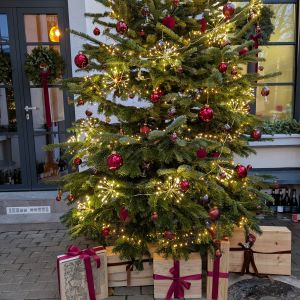 Fotografie WineOut - 2