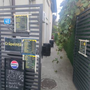 Fotografie Crăpelniță Cișmigiu - 9