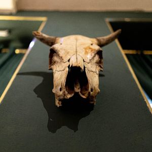 Fotografie Tapaseria - 4