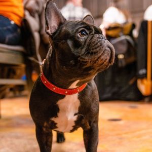 Fotografie Fabrica de bere - 8