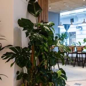 Fotografie Picnic Sandwich Atelier - 9