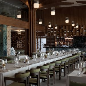 Fotografie NIDUS - 1