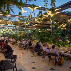 Fotografie Restaurant Pescăruș - 0