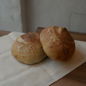 Fotografie Bob Republic - 7