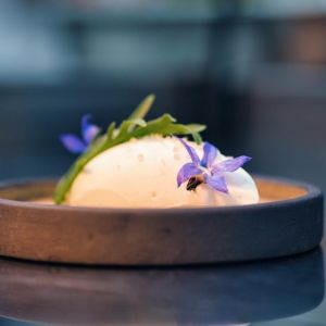 Fotografie Mina Heritage - 7