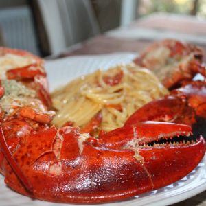 Fotografie Gallo Nero - 3