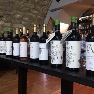 Fotografie Crama Noastră - 1