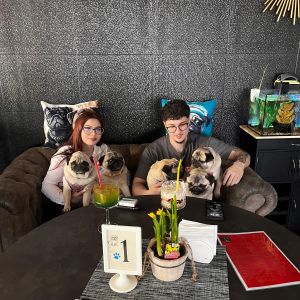 Fotografie Sophia's Pug & Frenchie Bistro - 3