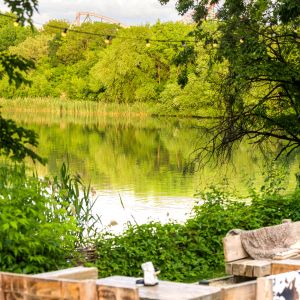 Fotografie INDIGEN / Space for the Soul - 2