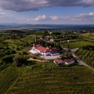 Fotografie Casa Seciu - 7