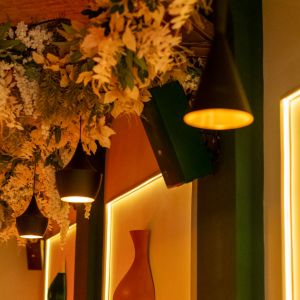 Fotografie Bunny Garden Lounge - 0