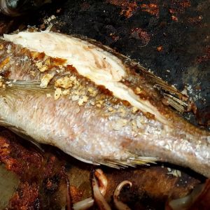 Fotografie Amada - 3