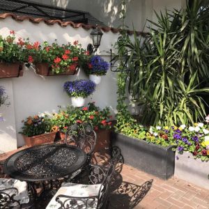 Fotografie Cofetaria Victoria - 2