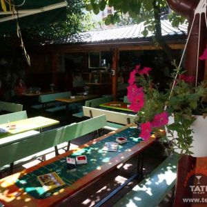 Fotografie Terasa Florilor - 8