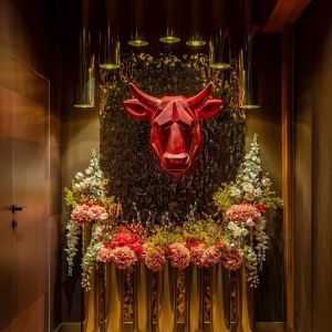 Fotografie Vacamuuu - 0