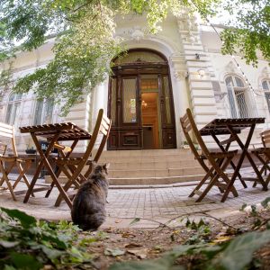 Fotografie Coftale - 1