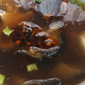 Fotografie Shanghai Garden - 1