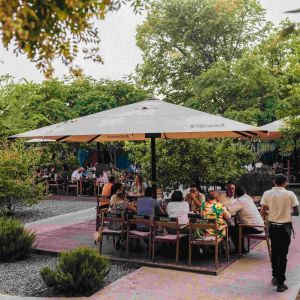 Fotografie City Grill Primăverii - 3